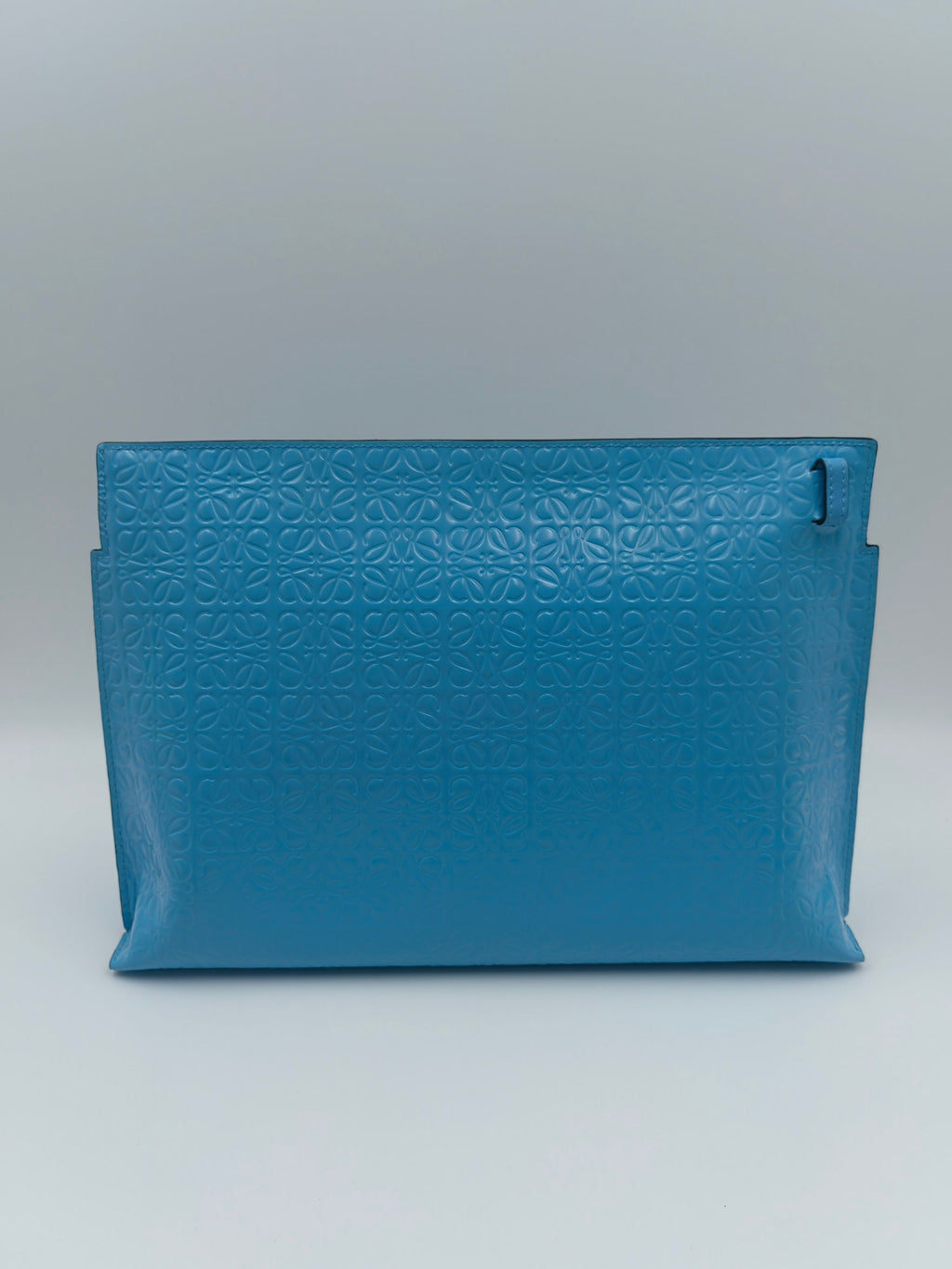 Loewe Clutch