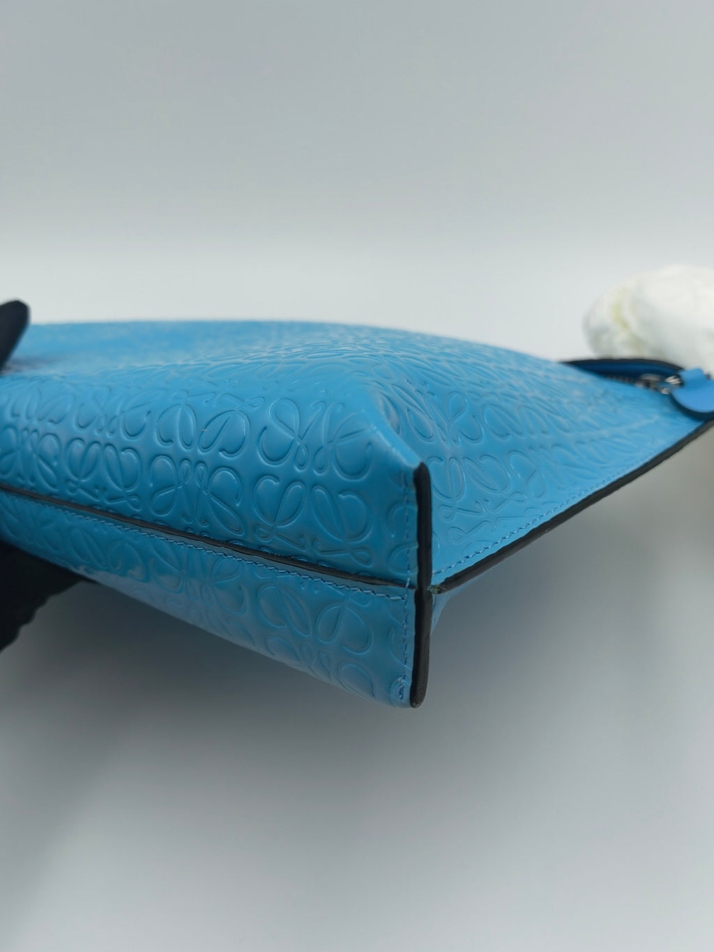 Loewe Clutch