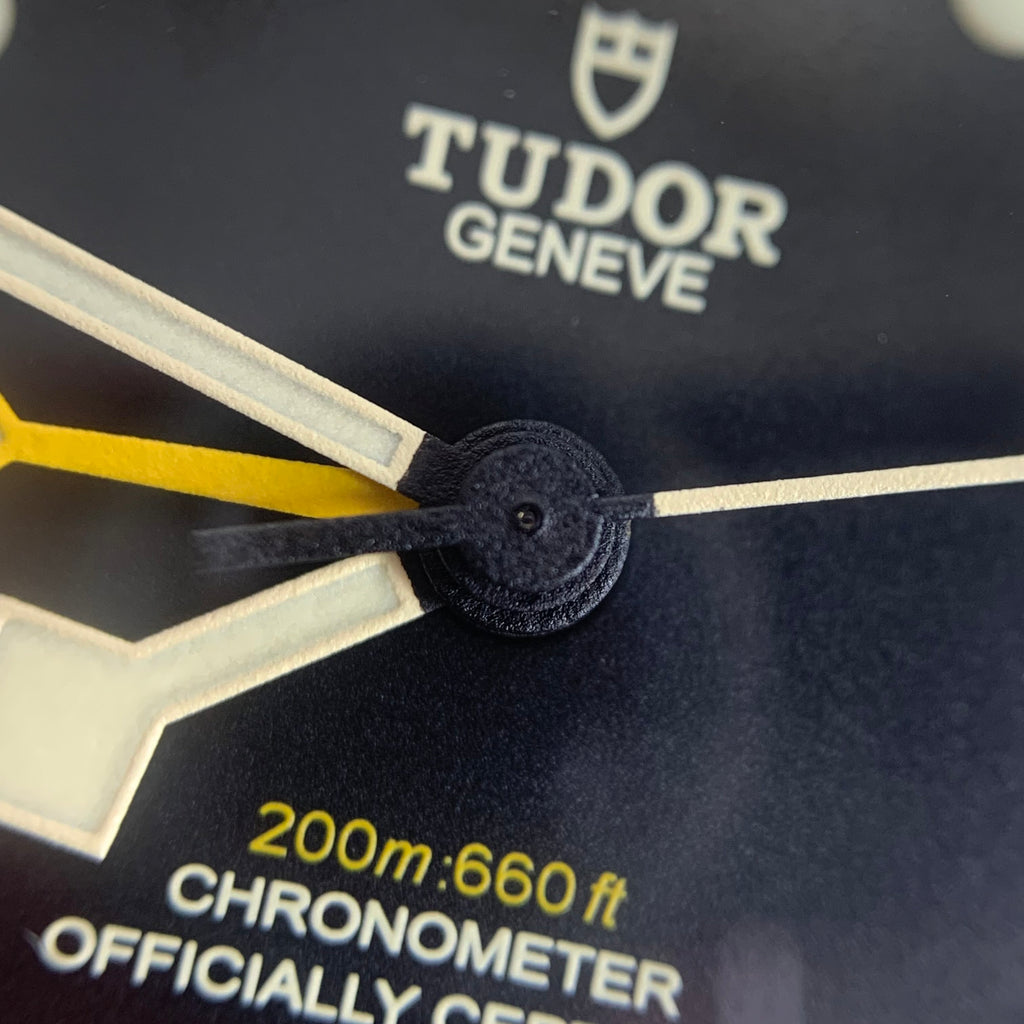 Tudor Biwan Professional Model 39 millimeters m79470-0001