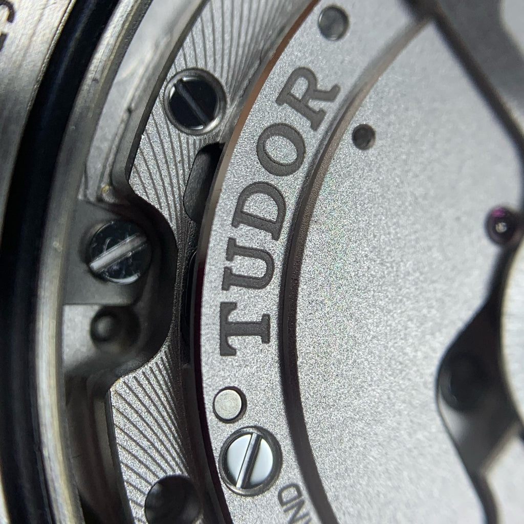 Tudor Biwan Professional Model 39 millimeters m79470-0001