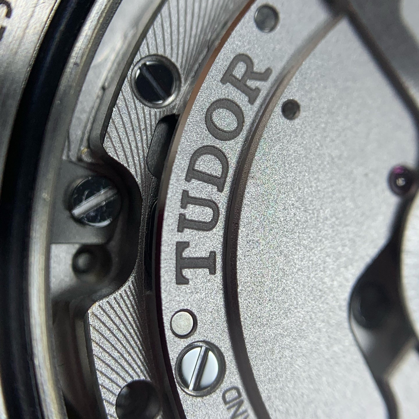 Tudor Biwan Professional Model 39 millimeters m79470-0001