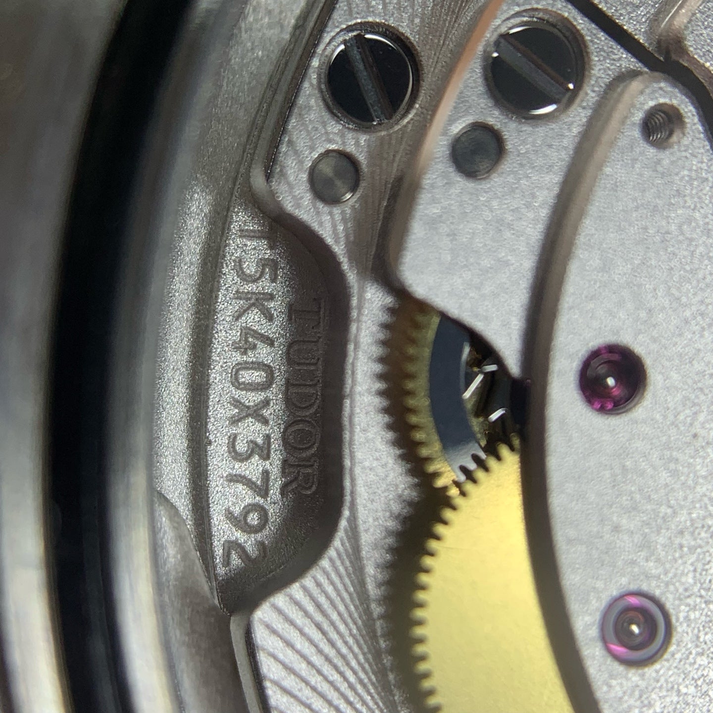 Tudor Biwan Professional Model 39 millimeters m79470-0001