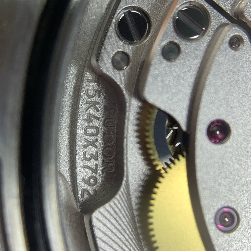Tudor Biwan Professional Model 39 millimeters m79470-0001