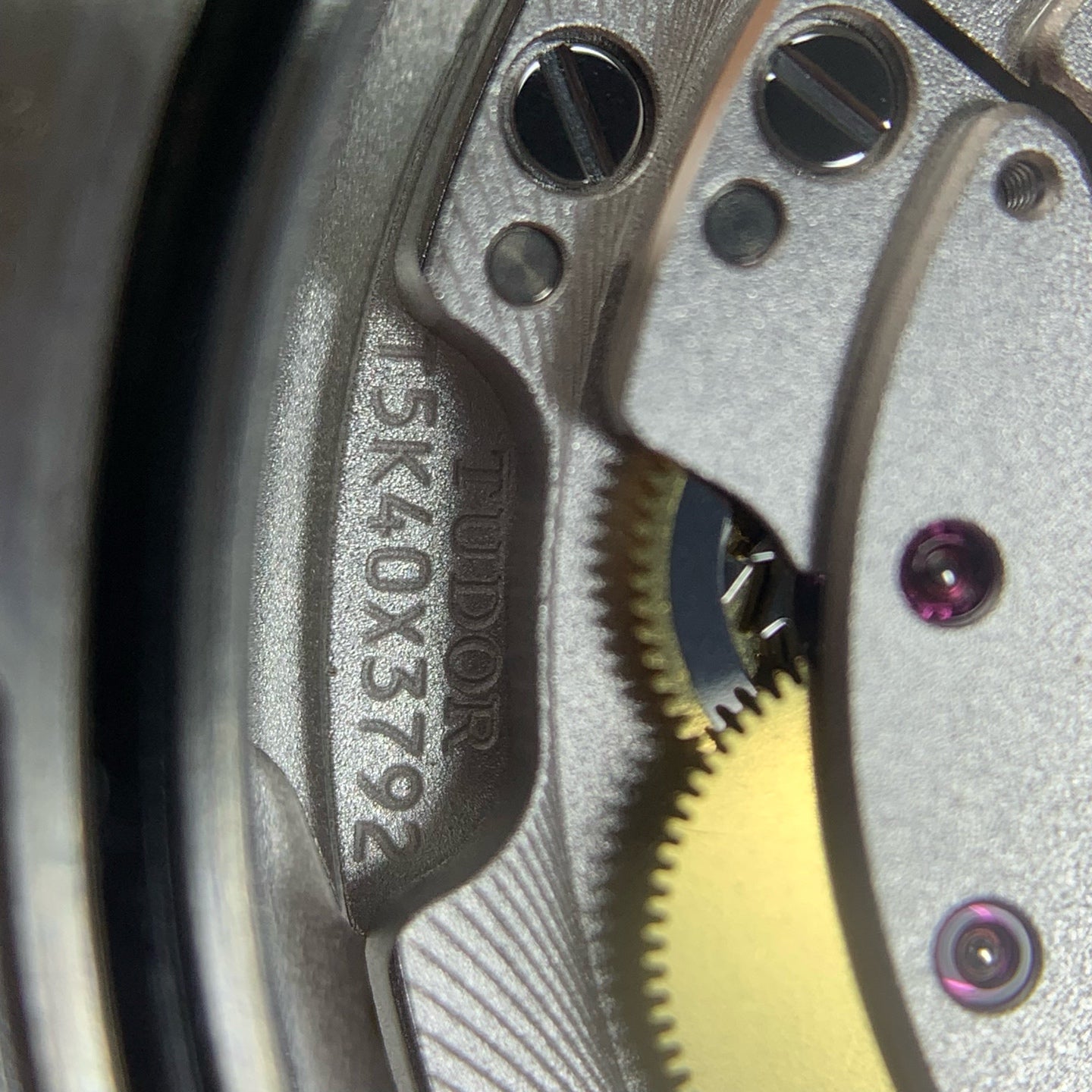 Tudor Biwan Professional Model 39 millimeters m79470-0001