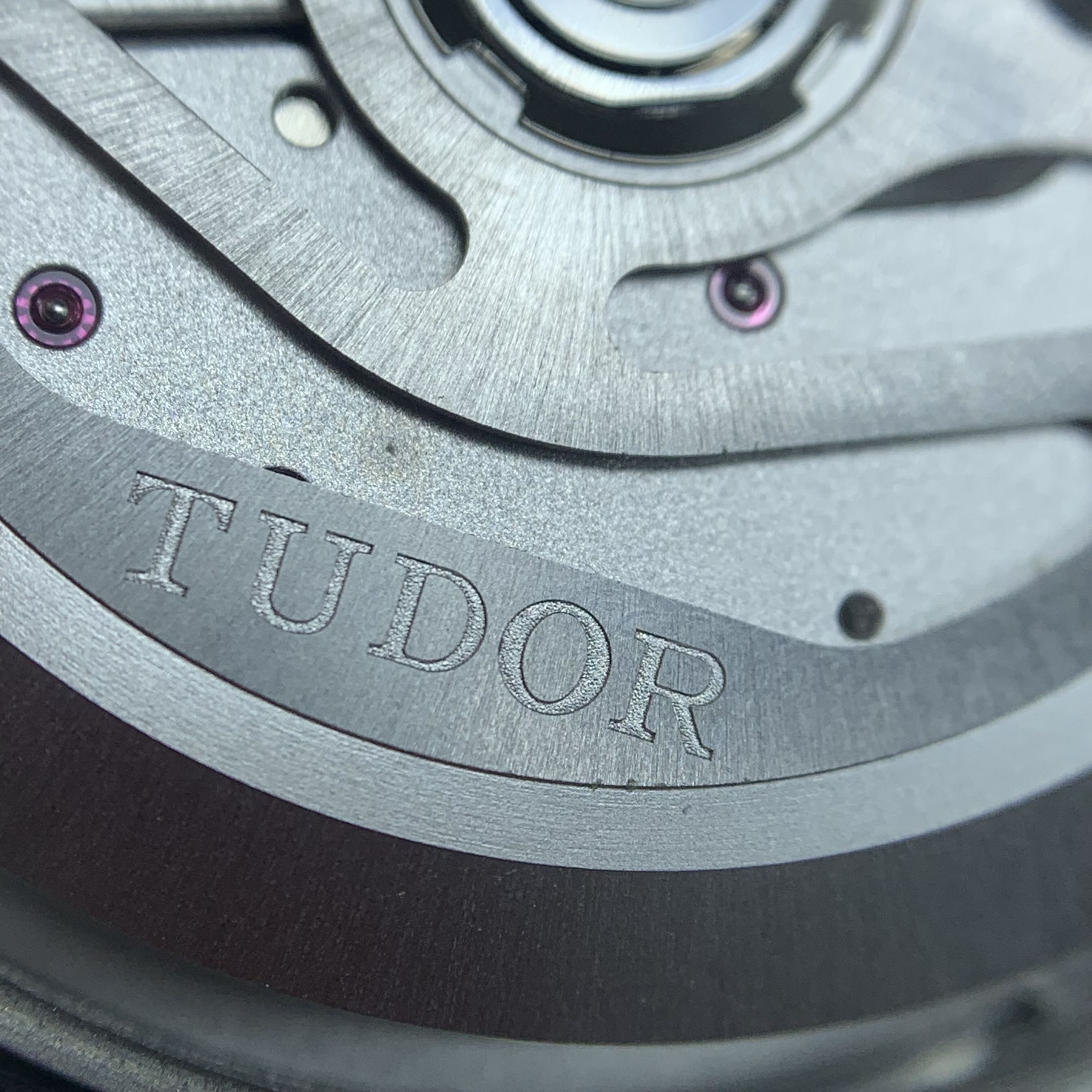 Tudor Biwan Professional Model 39 millimeters m79470-0001