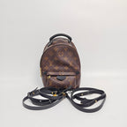 Louis Vuitton Backpack