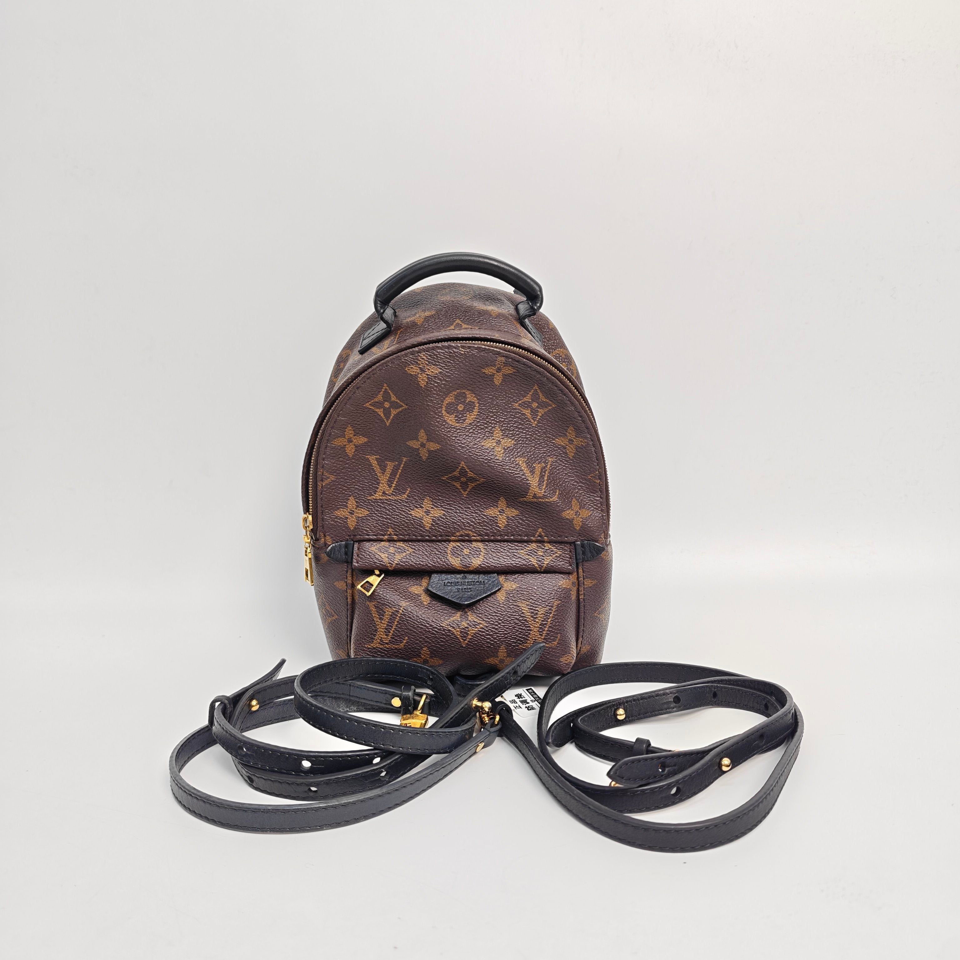 Louis Vuitton Backpack
