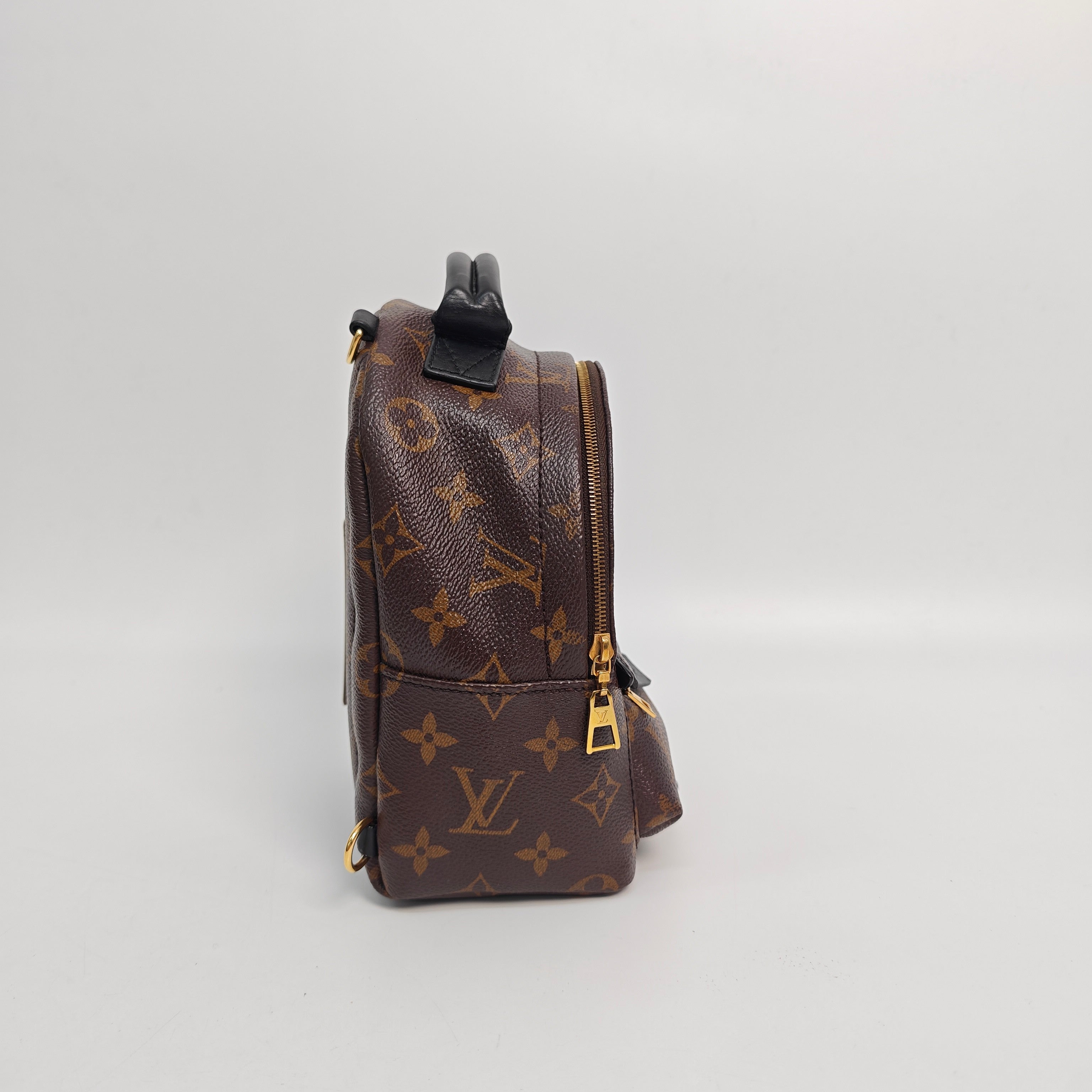 Louis Vuitton Backpack