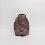 Louis Vuitton Backpack