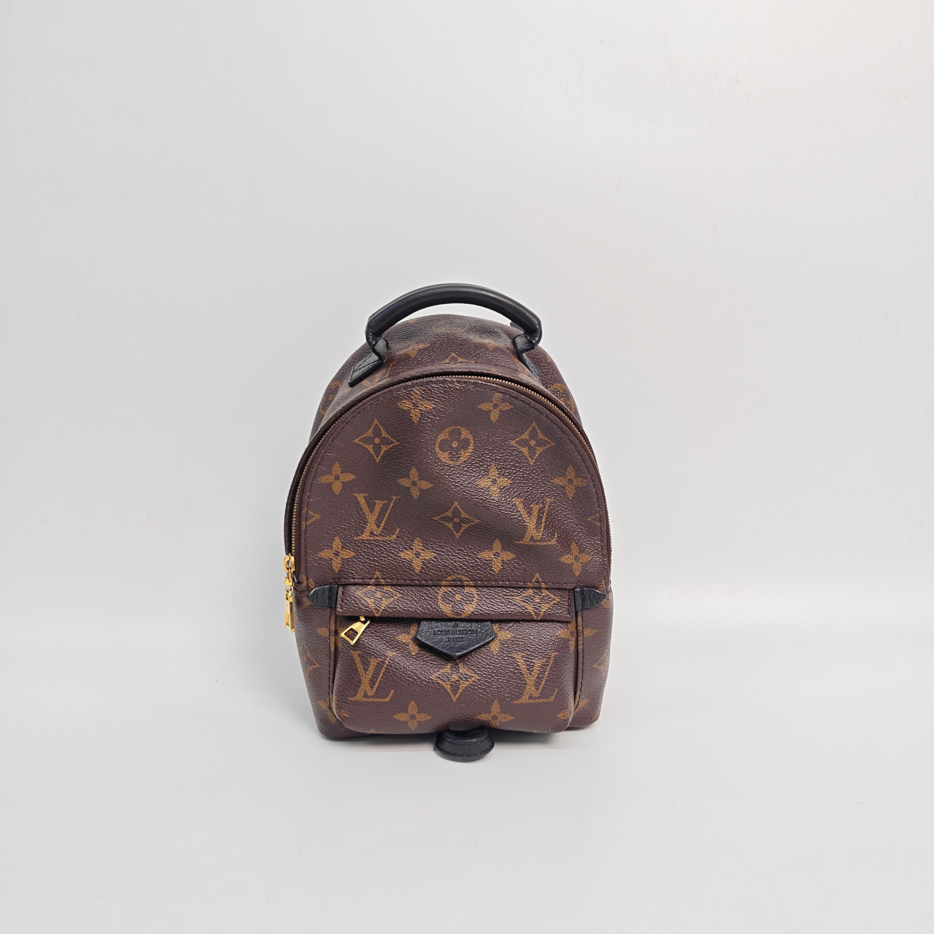 Louis Vuitton Backpack