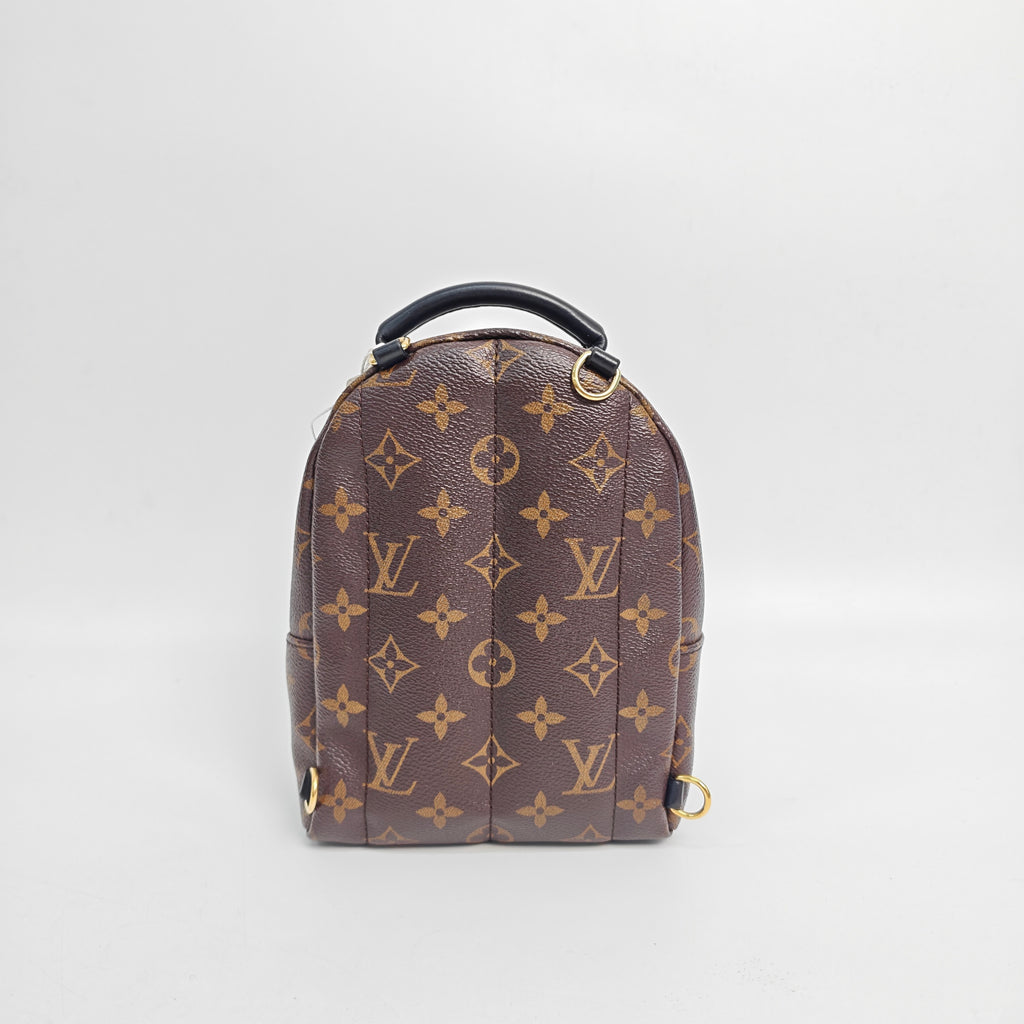 Louis Vuitton Backpack