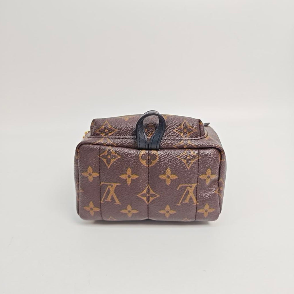 Louis Vuitton Backpack