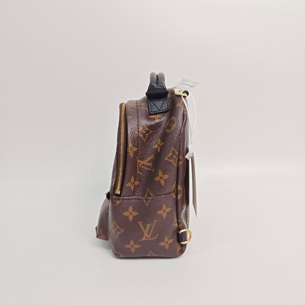 Louis Vuitton Backpack