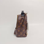 Louis Vuitton Backpack