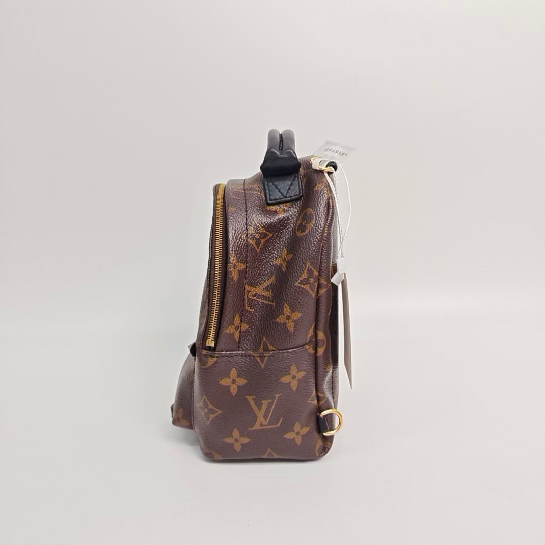 Louis Vuitton Backpack