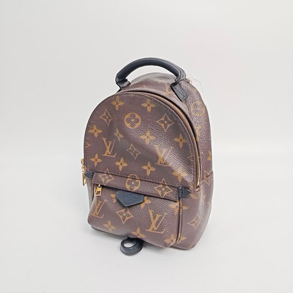 Louis Vuitton Backpack