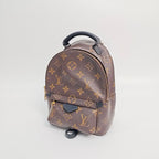 Louis Vuitton Backpack