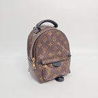 Louis Vuitton Backpack