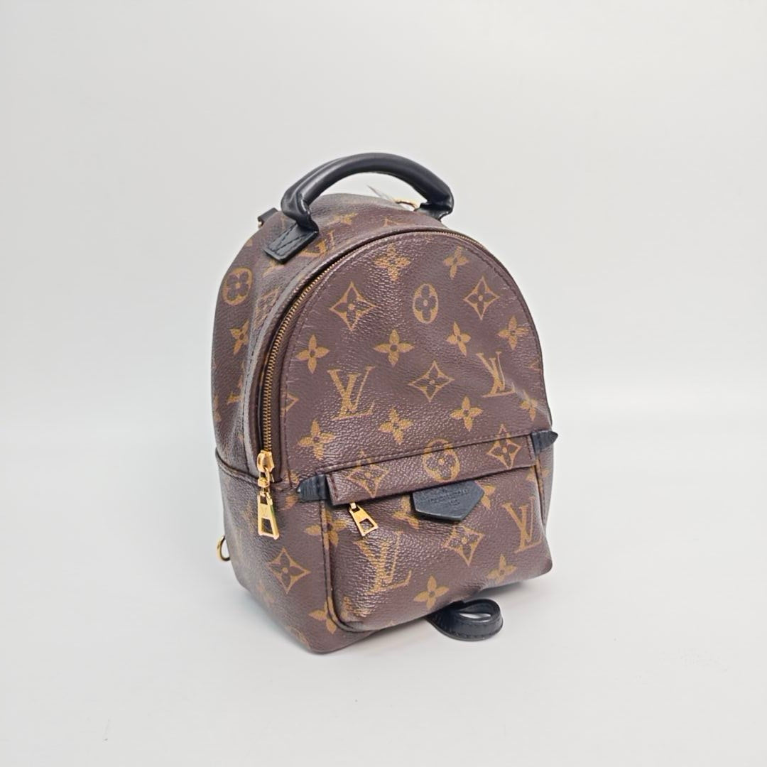 Louis Vuitton Backpack