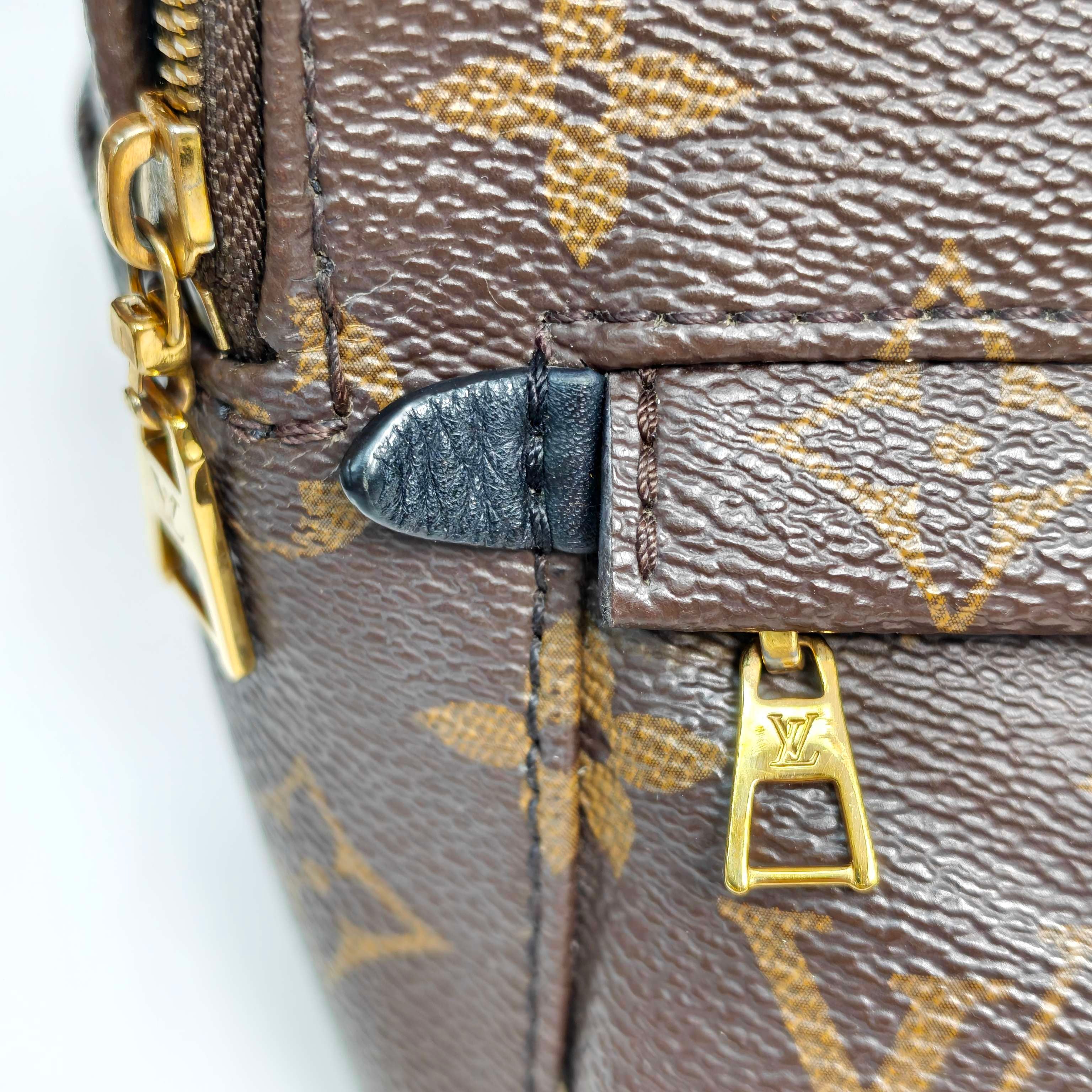 Louis Vuitton Backpack