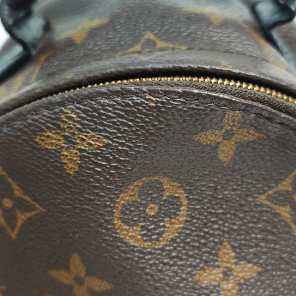 Louis Vuitton Backpack