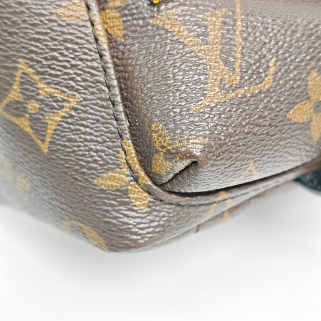 Louis Vuitton Backpack