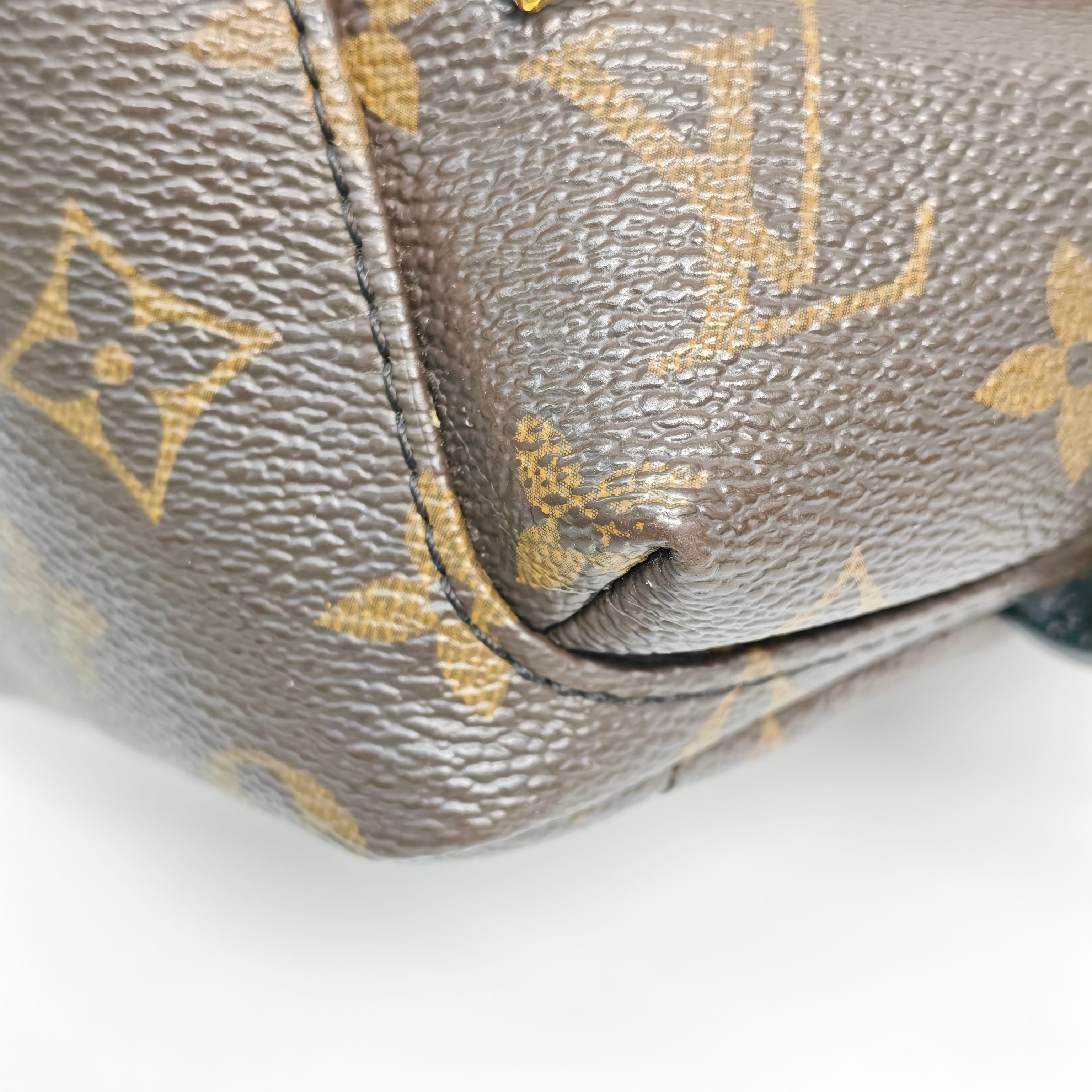 Louis Vuitton Backpack