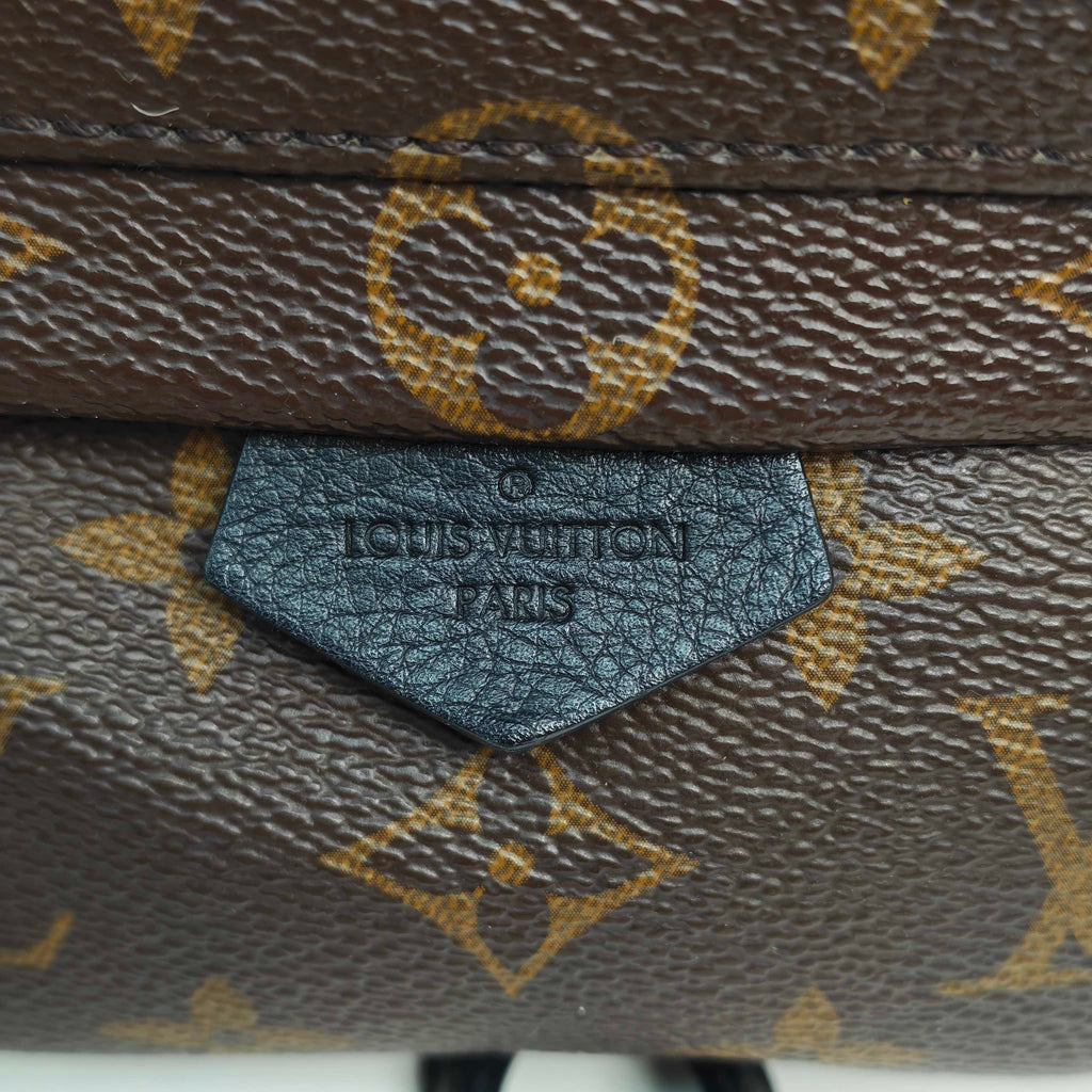 Louis Vuitton Backpack