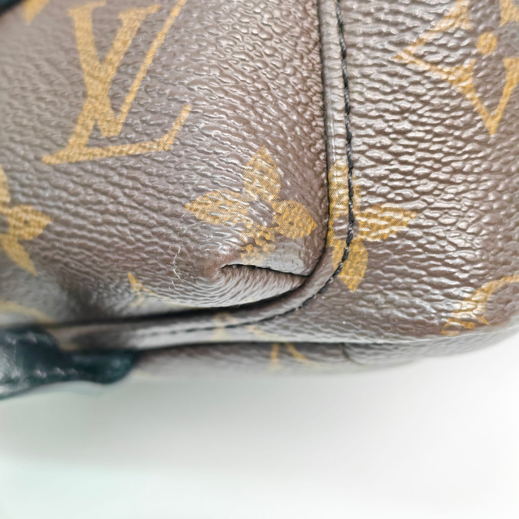 Louis Vuitton Backpack