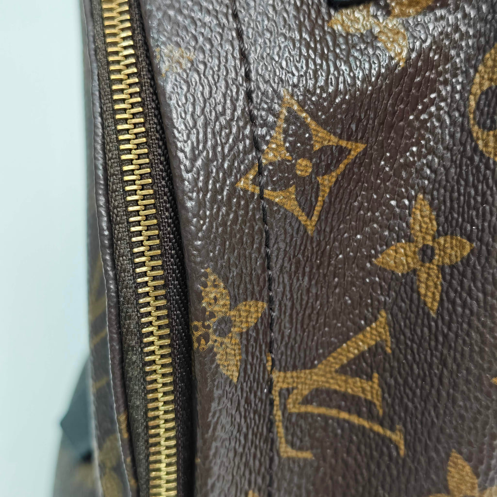 Louis Vuitton Backpack