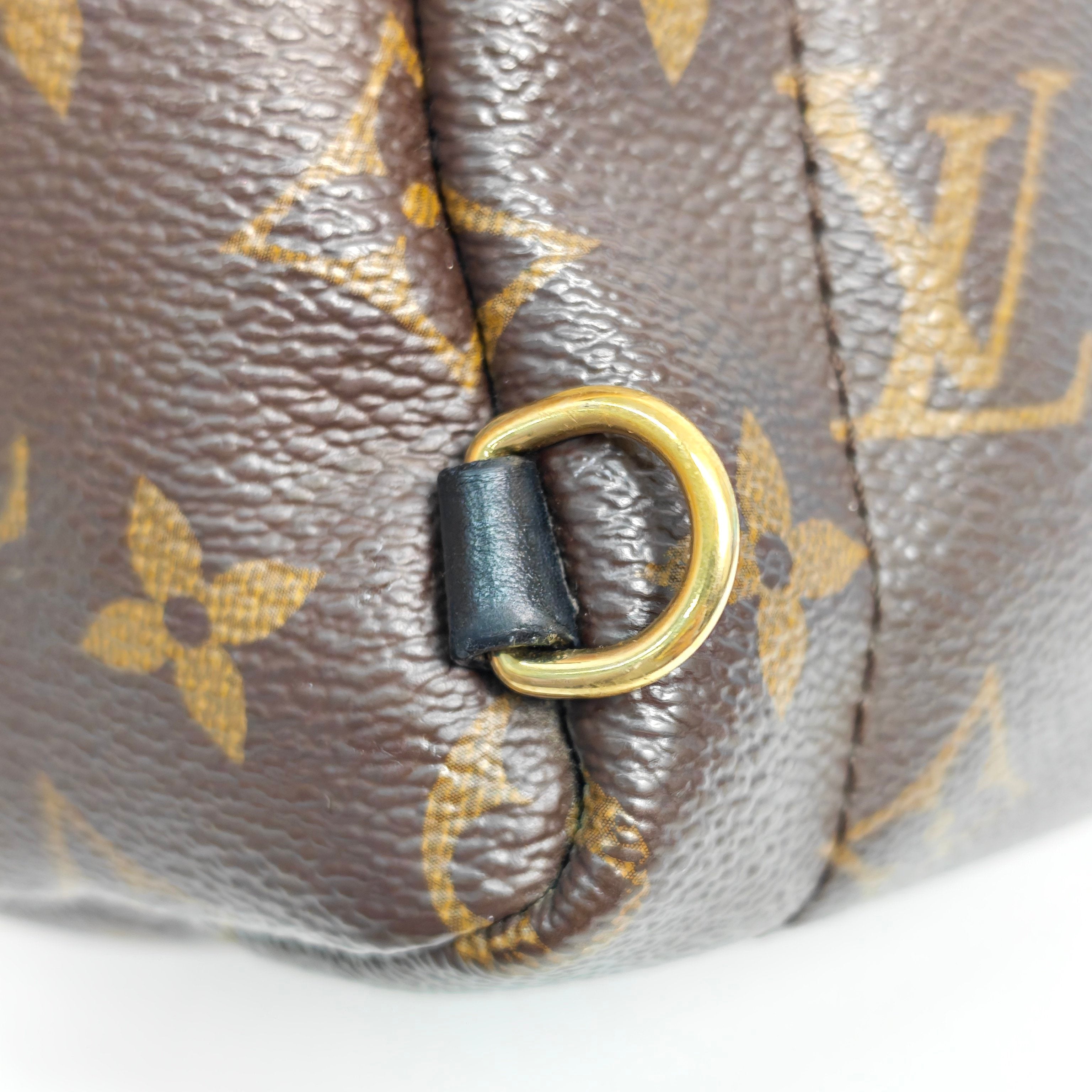 Louis Vuitton Backpack
