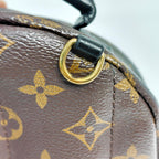Louis Vuitton Backpack