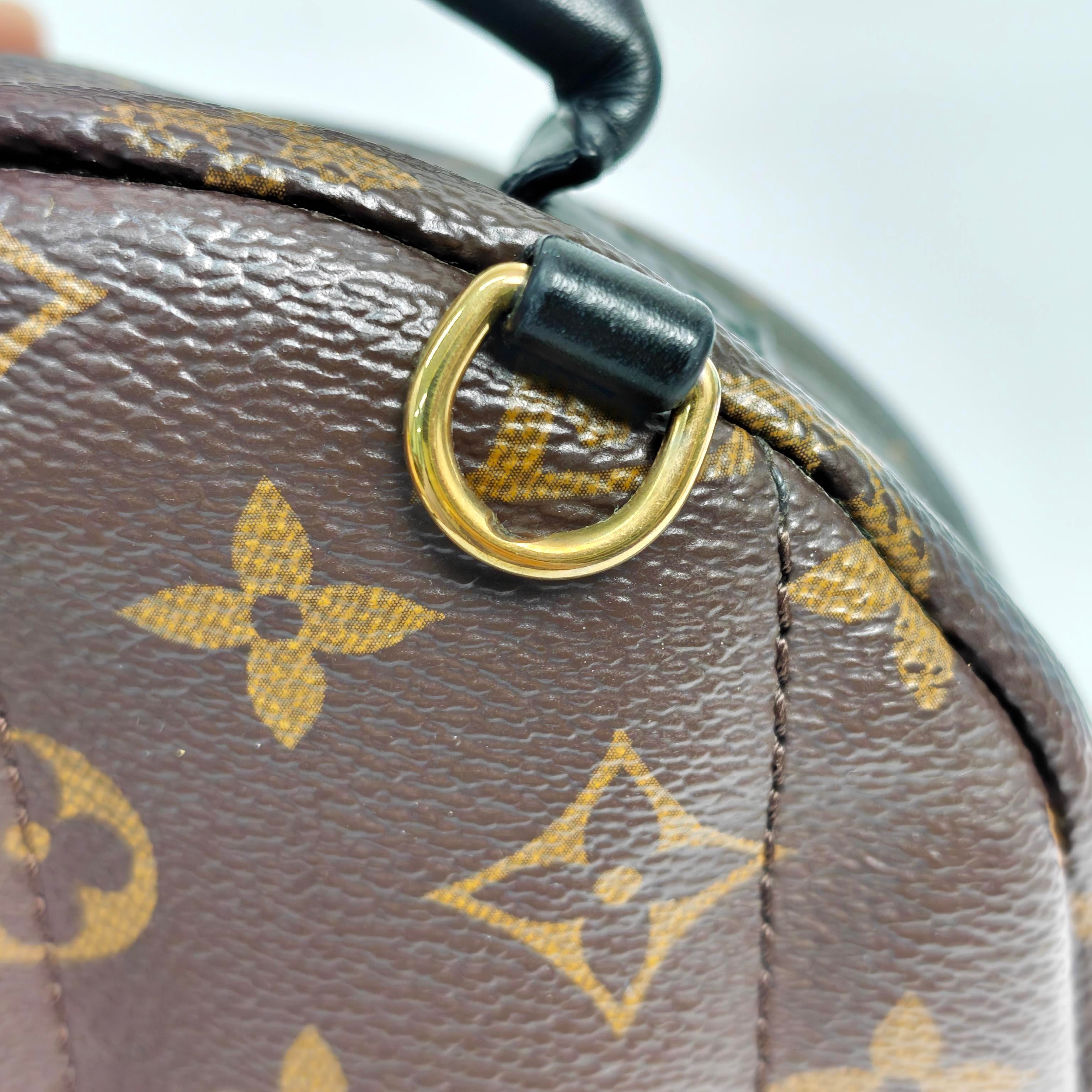Louis Vuitton Backpack