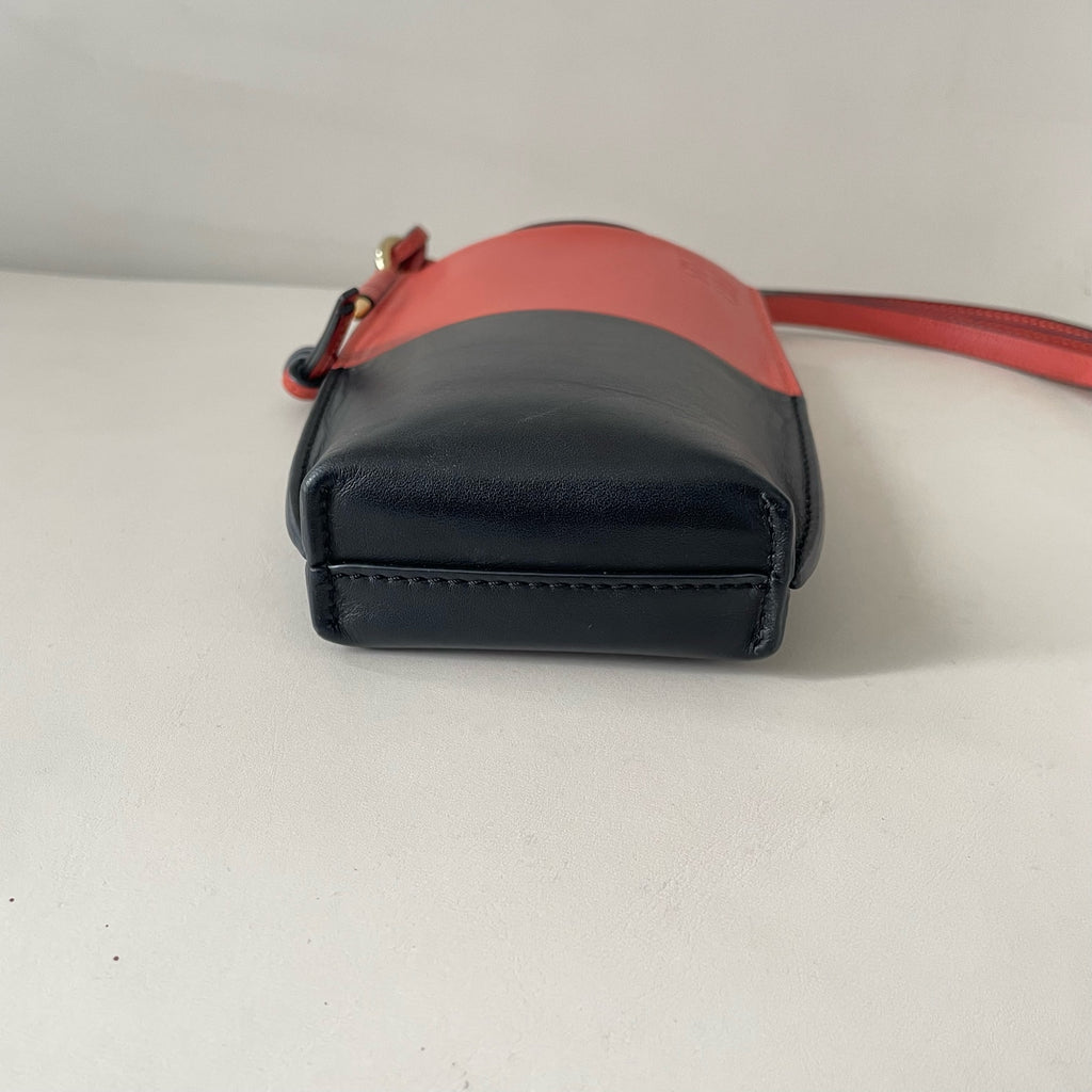 Loewe Crossbody