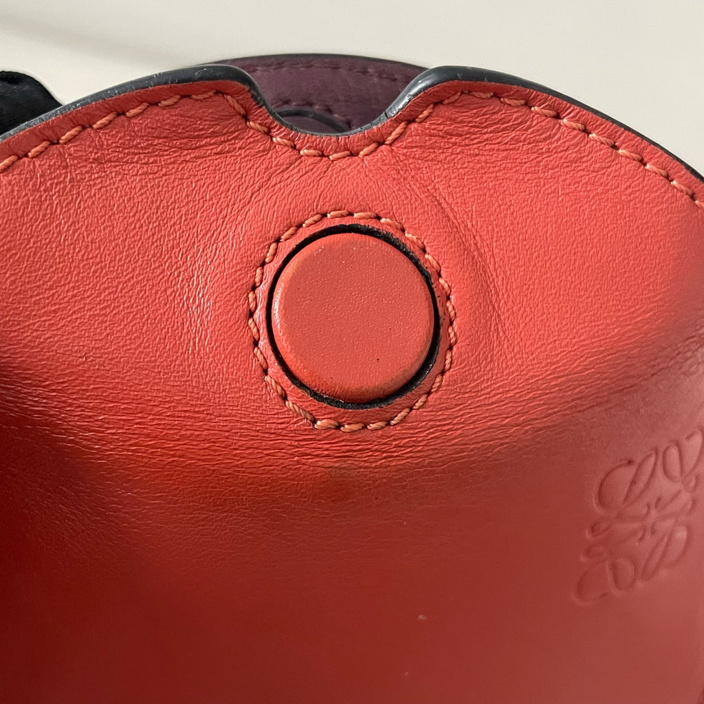 Loewe Crossbody