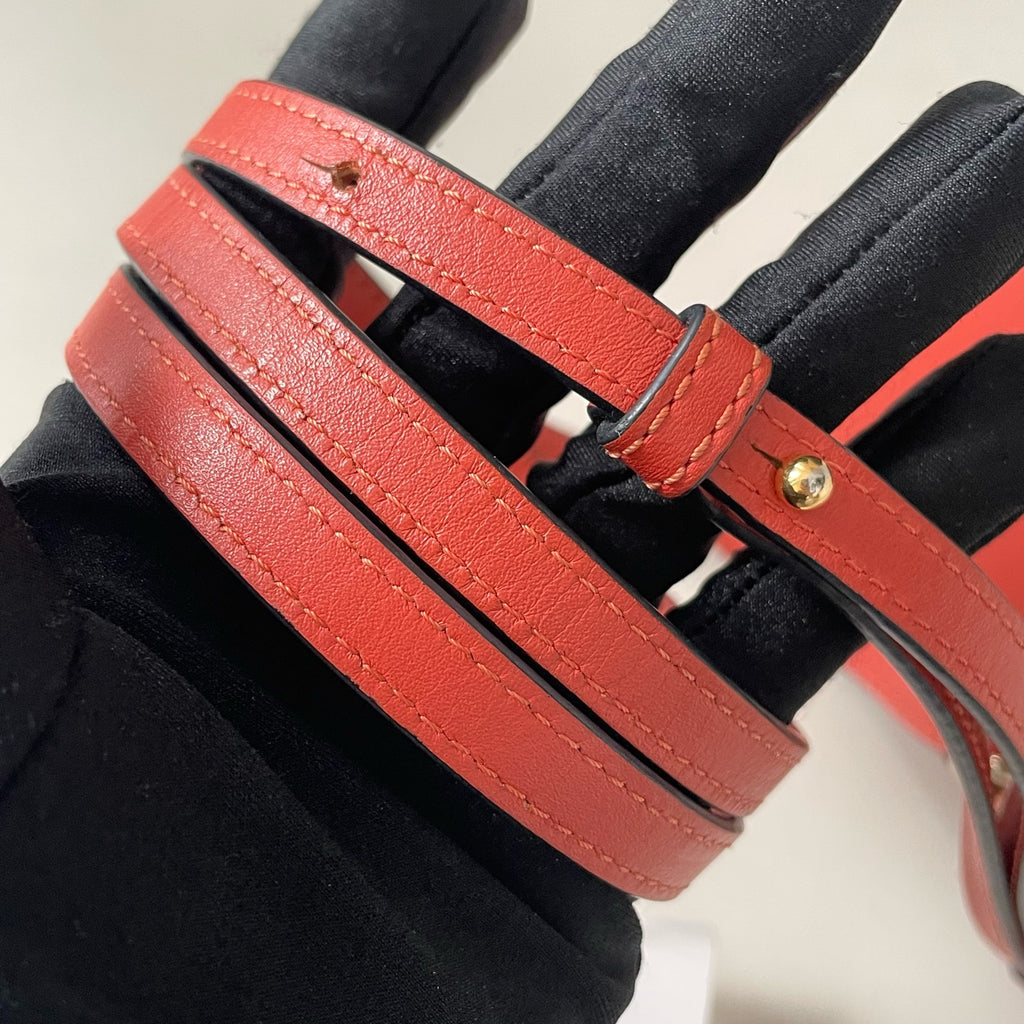 Loewe Crossbody
