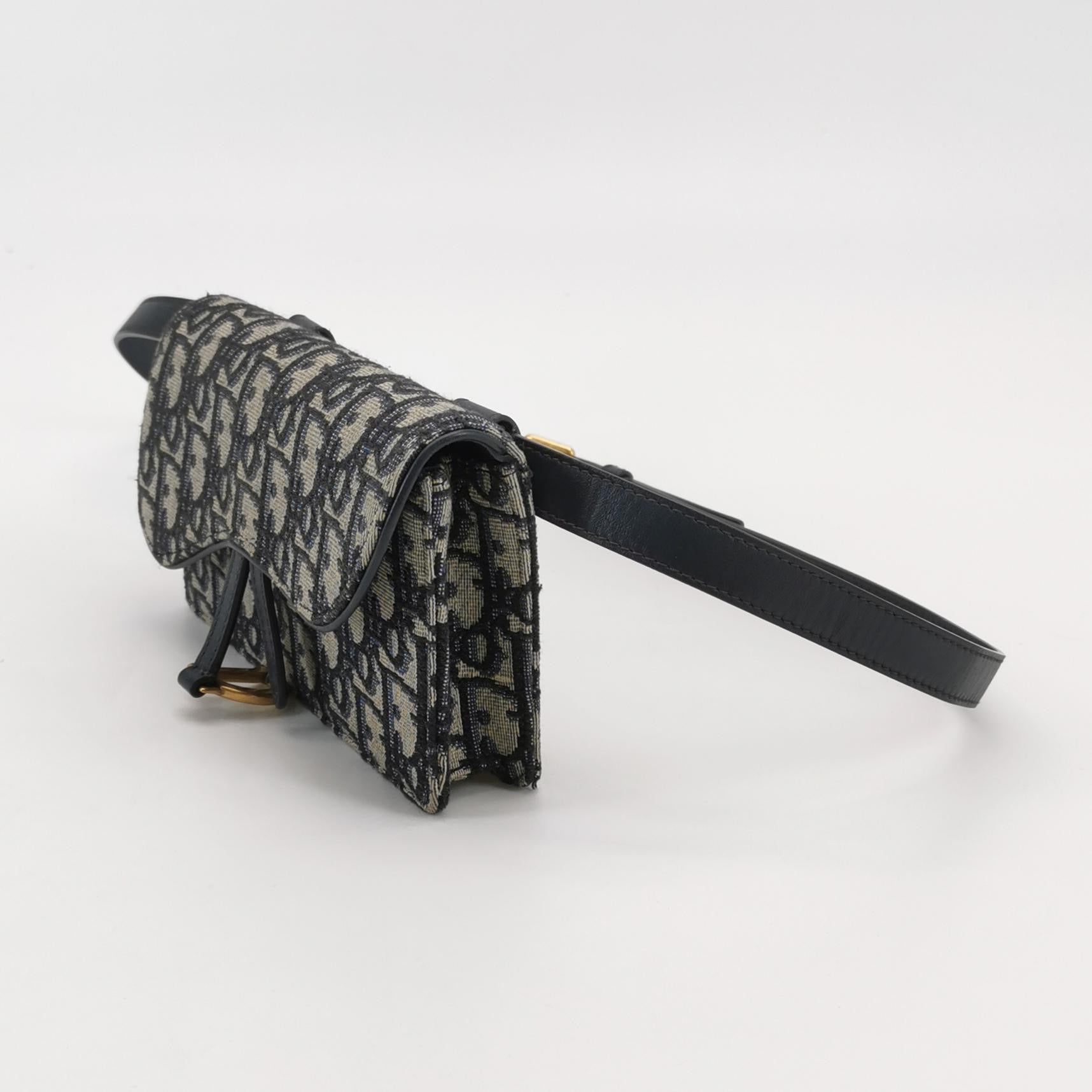 Dior Canvas Saddle Bag S5619CTZQ_M928
