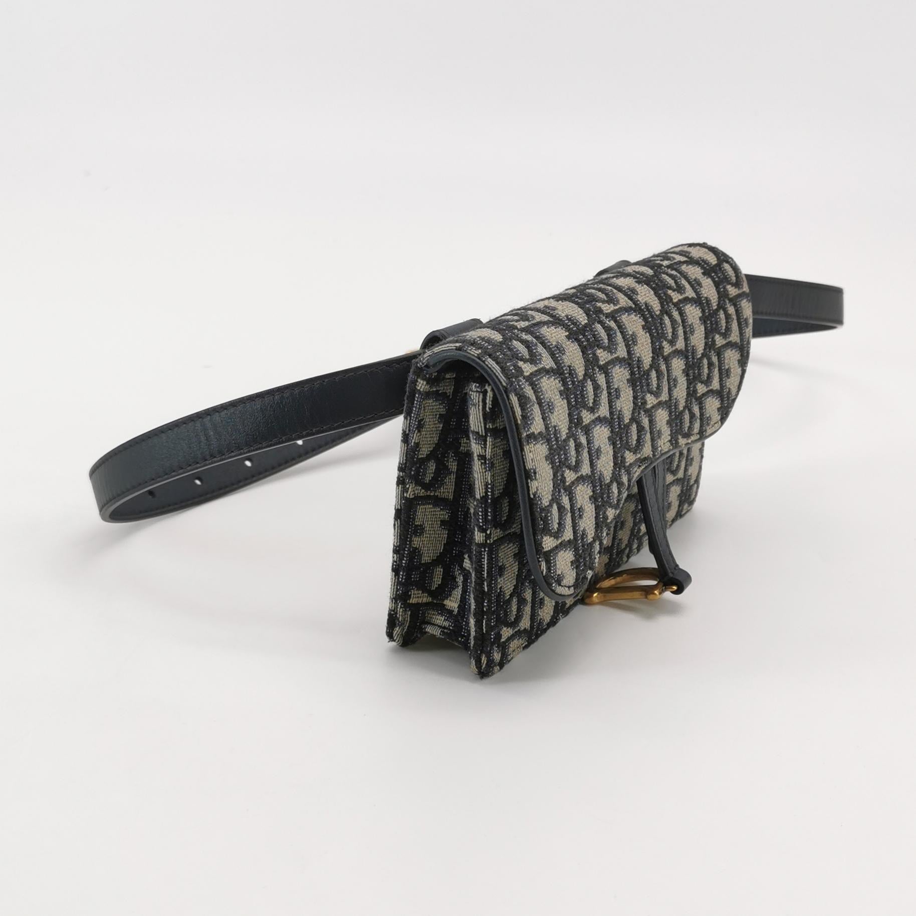 Dior Canvas Saddle Bag S5619CTZQ_M928