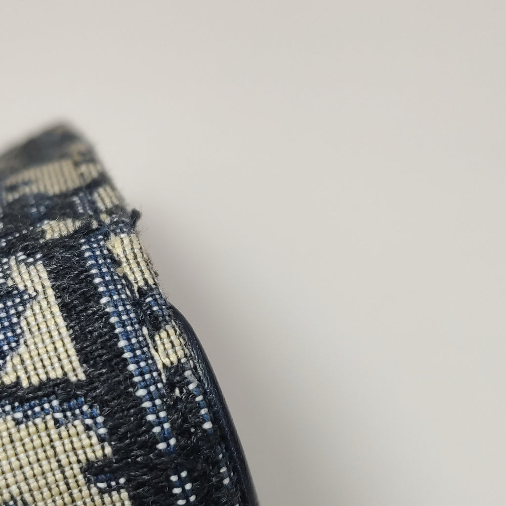 Dior Canvas Saddle Bag S5619CTZQ_M928