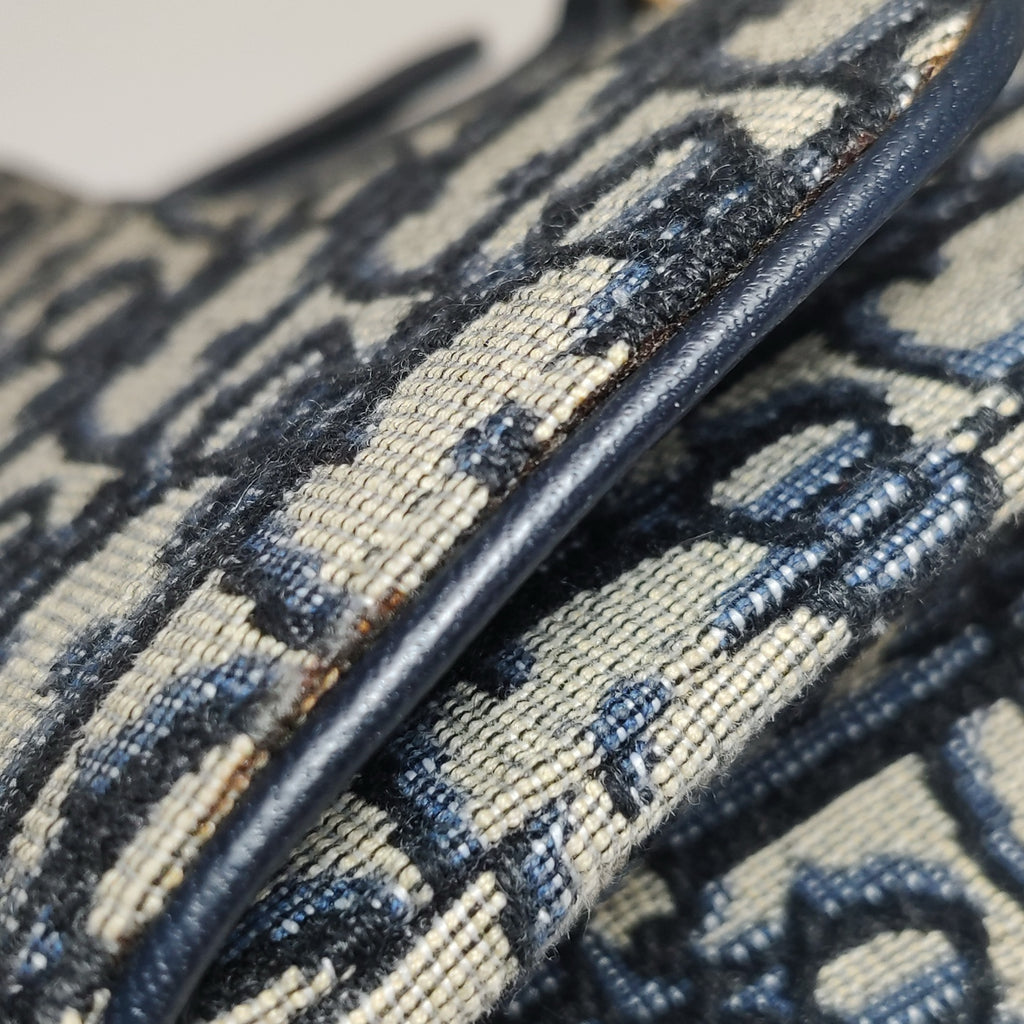 Dior Canvas Saddle Bag S5619CTZQ_M928
