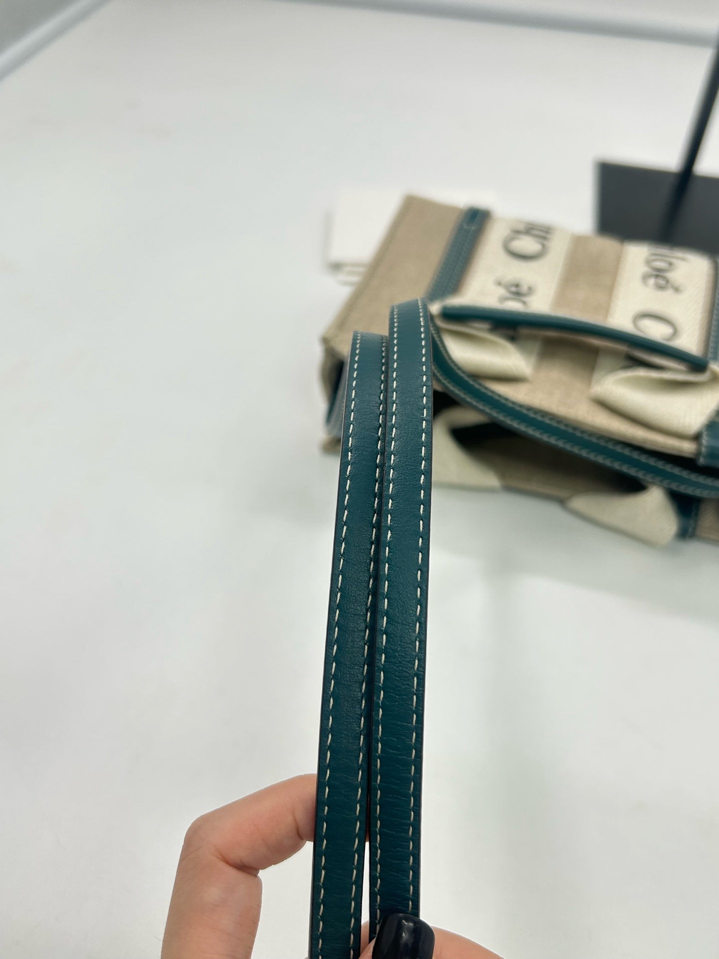Chloe Canvas Shoulder Bag
