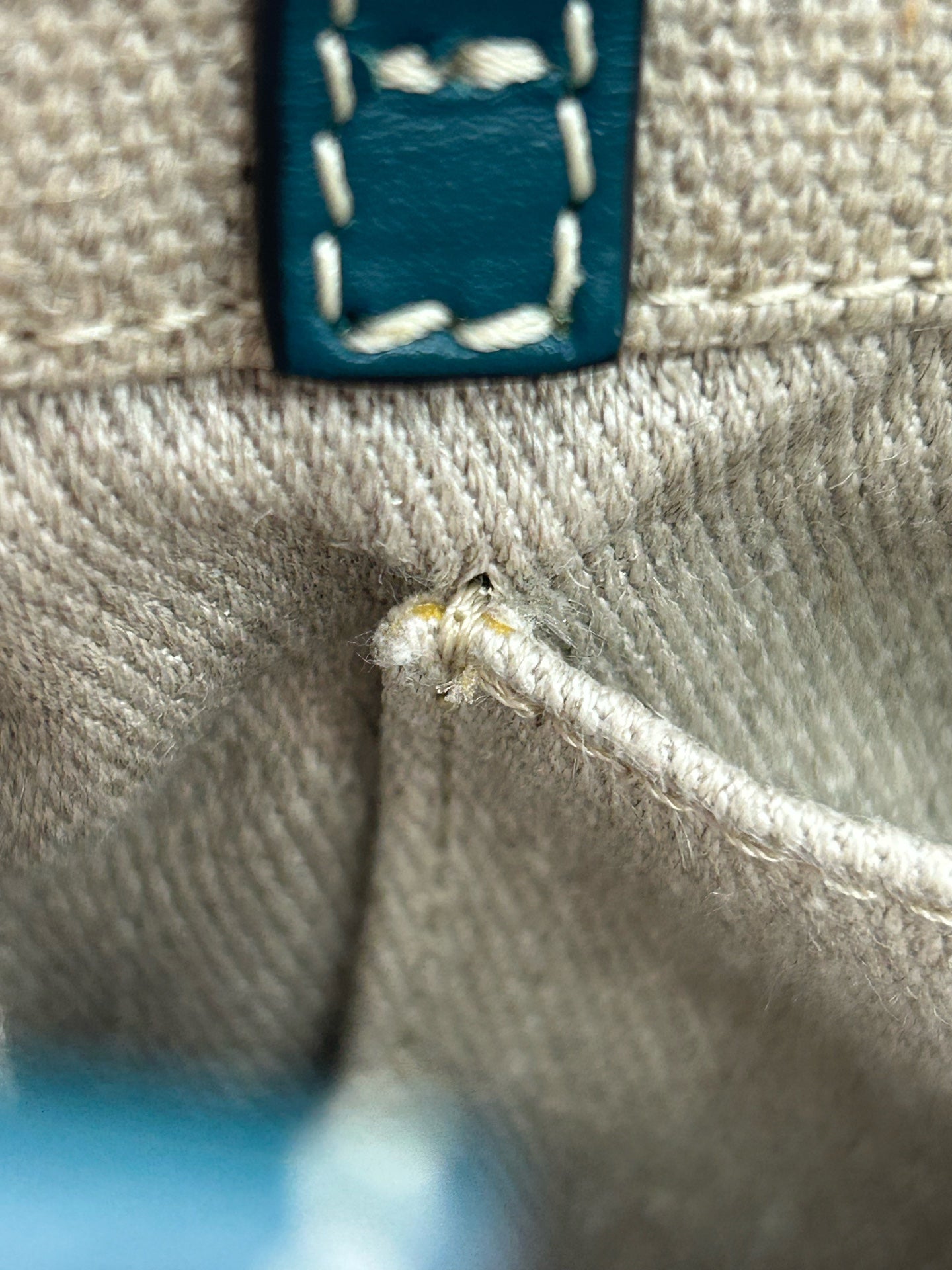 Chloe Canvas Shoulder Bag