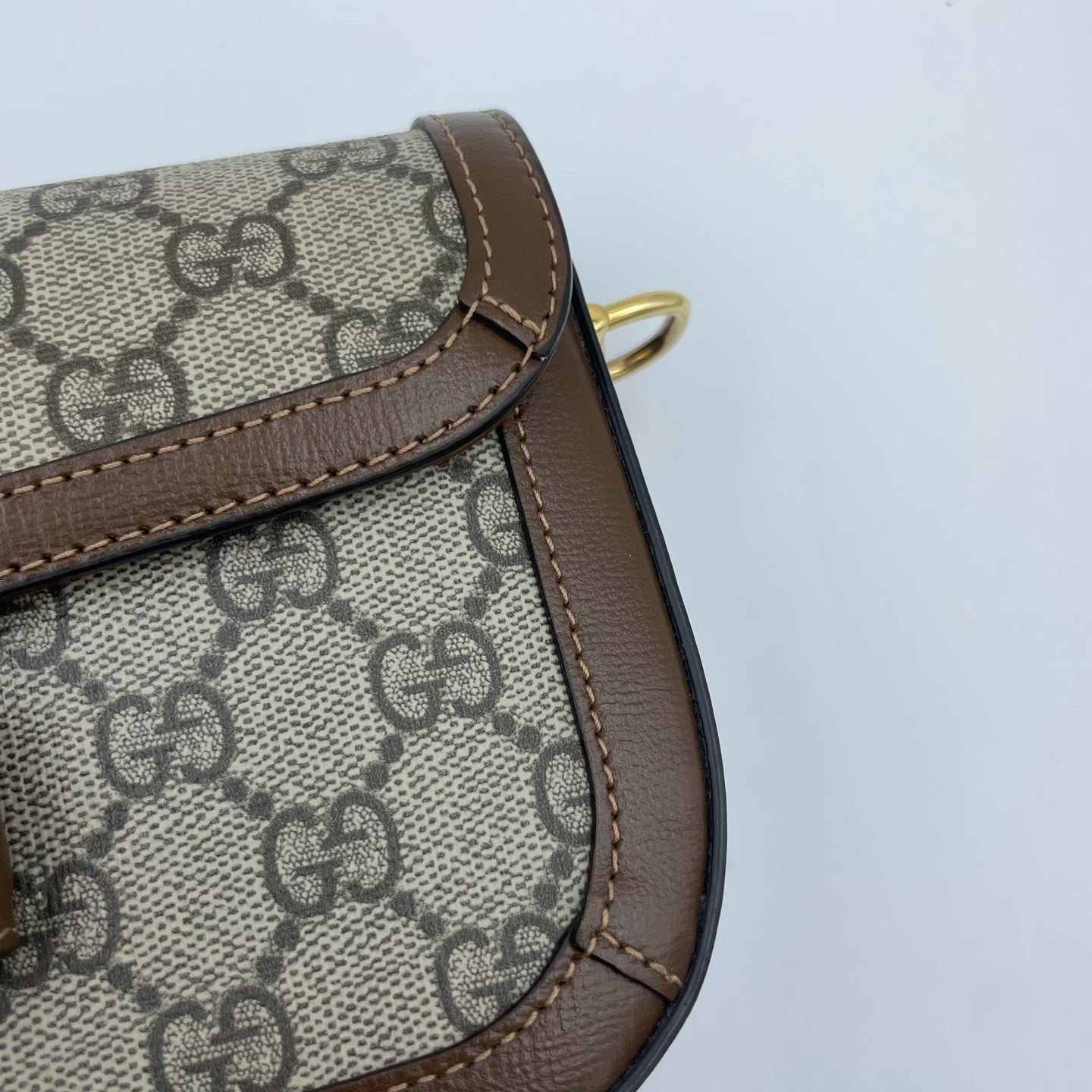 Gucci Canvas Brown