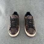 Louis Vuitton Skate shoes