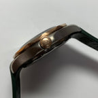Omega Seahorse Series 42  210.92.42.20.10.001