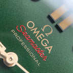 Omega Seahorse Series 42  210.92.42.20.10.001