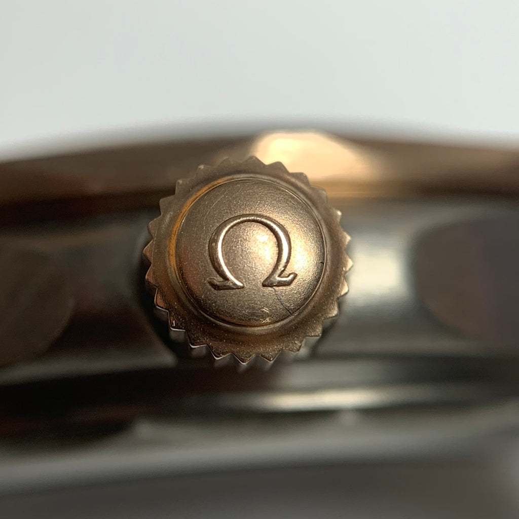 Omega Seahorse Series 42  210.92.42.20.10.001