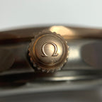 Omega Seahorse Series 42  210.92.42.20.10.001