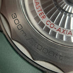 Omega Seahorse Series 42  210.92.42.20.10.001