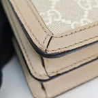 Gucci Messenger Bag